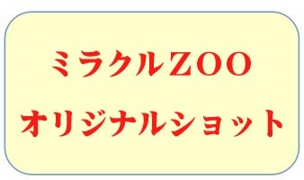 KICS動物園2018のタグ4