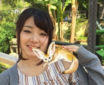 KICS動物園2018のフェネック