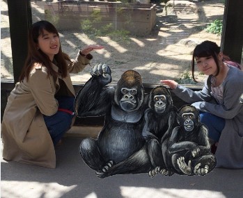 KICS動物園2018のゴリラ